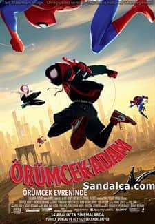 Örümcek-Adam: Örümcek Evreninde Türkçe Dublaj indir | 1080p BluRay | 2018