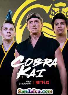 Cobra Kai 3. Sezon Türkçe Dublaj indir