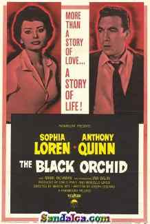 Siyah Orkide - The Black Orchid Türkçe Dublaj indir