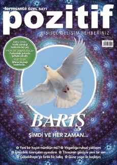 Pozitif Dergisi 2022-2 PDF indir